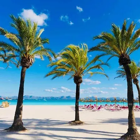 Verano Eterno En Mallorca - Alcudia! Lejlighed Alcudia (Mallorca)