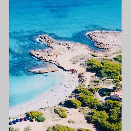 Lejlighed Verano Eterno En Mallorca - Alcudia! Alcudia (Mallorca)
